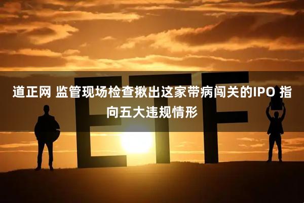 道正网 监管现场检查揪出这家带病闯关的IPO 指向五大违规情形