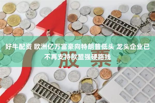 好牛配资 欧洲亿万富豪向特朗普低头 龙头企业已不再支持欧盟强硬路线