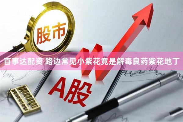 百事达配资 路边常见小紫花竟是解毒良药紫花地丁