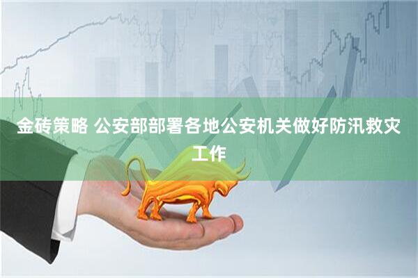 金砖策略 公安部部署各地公安机关做好防汛救灾工作
