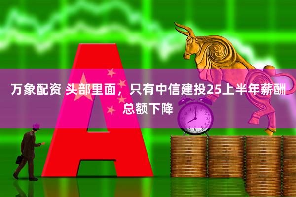 万象配资 头部里面，只有中信建投25上半年薪酬总额下降