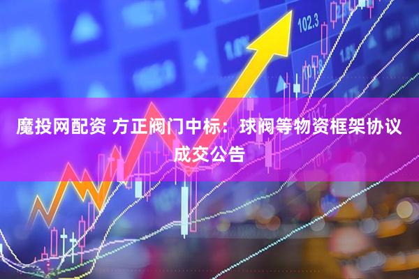 魔投网配资 方正阀门中标：球阀等物资框架协议成交公告
