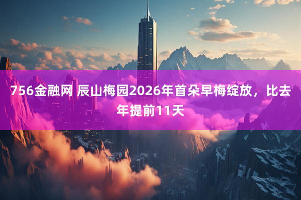 756金融网 辰山梅园2026年首朵早梅绽放,比去年提前11天